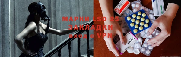 ешки Аркадак