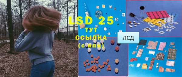 ешки Аркадак