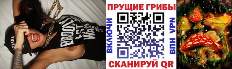 Галлюциногенные грибы мицелий  где найти   Байкальск 